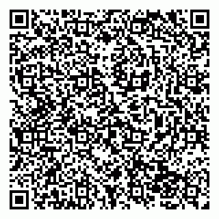 vCard 79138041003