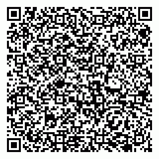 vCard 79138041007