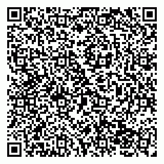 vCard 79138041014