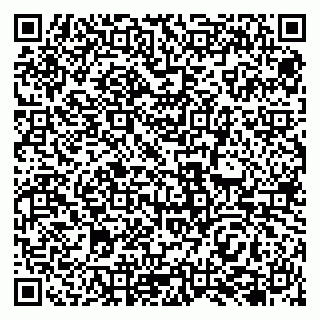 vCard 79138041018
