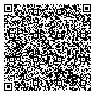 vCard 79138041303