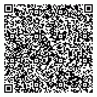 vCard 79138041501