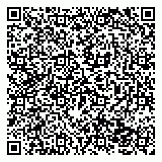vCard 79138041535