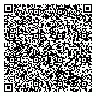 vCard 79138041545