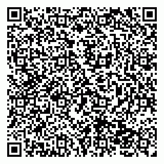 vCard 79138041589