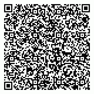 vCard 79138041801
