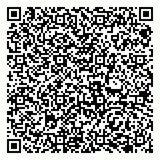 vCard 79138041803