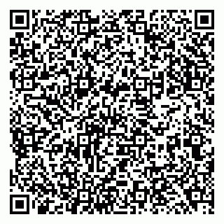 vCard 79138041805