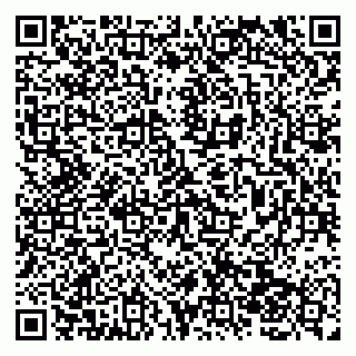 vCard 79138041808