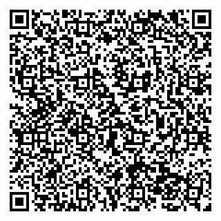 vCard 79138041810
