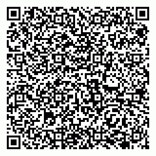 vCard 79138041811