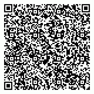 vCard 79138041813