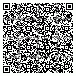 vCard 79138041815