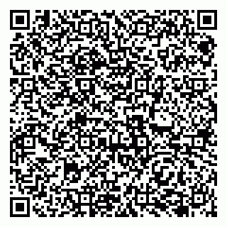vCard 79138041816