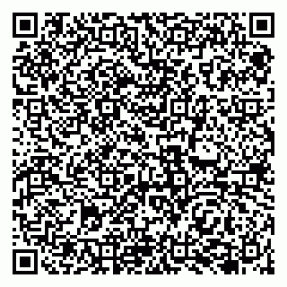vCard 79138041841