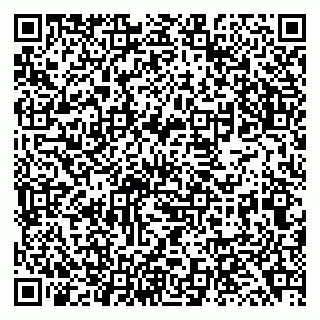 vCard 79138041863