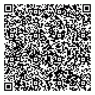 vCard 79138041867