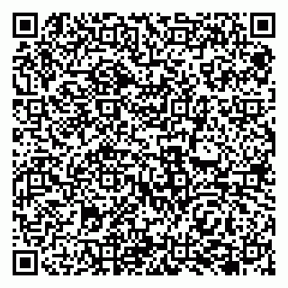 vCard 79138041871