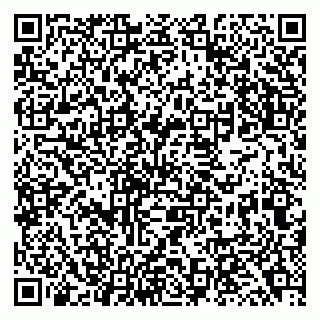 vCard 79138041874