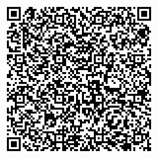 vCard 79138041875