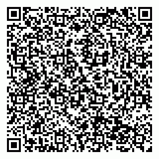 vCard 79138041880