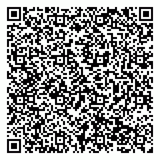 vCard 79138041883