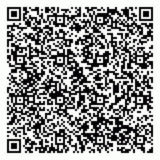 vCard 79138041889