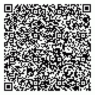 vCard 79138041963