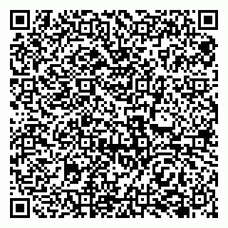 vCard 79138041981