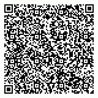 vCard 79138041985