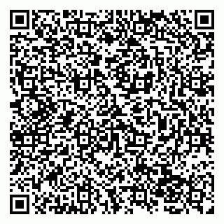 vCard 79138042002