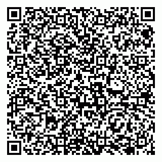 vCard 79138042003