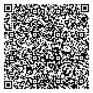 vCard 79138042005