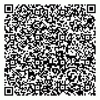 vCard 79138042019