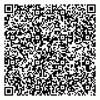 vCard 79138043005