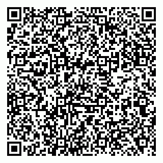 vCard 79138043009