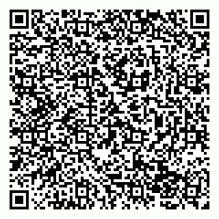 vCard 79138043011