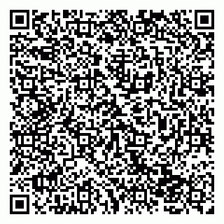 vCard 79138043100