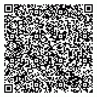vCard 79138043103