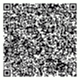 vCard 79138043104