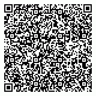 vCard 79138043131