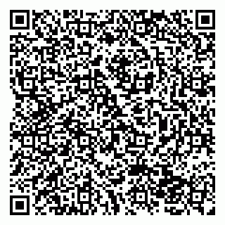 vCard 79138043133
