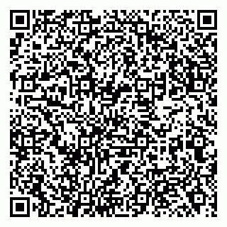 vCard 79138043153