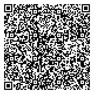 vCard 79138043161