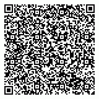 vCard 79138043169