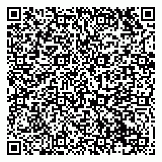 vCard 79138043171