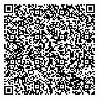 vCard 79138043173