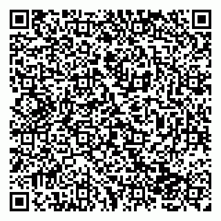 vCard 79138043174