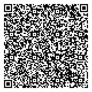 vCard 79138043175