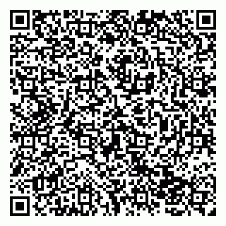 vCard 79138043176